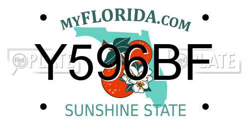 Y596BF Florida License Plate