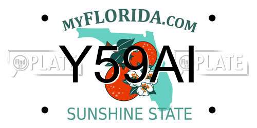 Y59AI Florida License Plate
