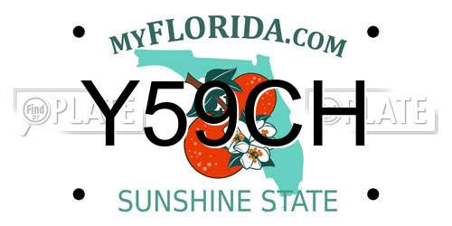 Y59CH Florida License Plate
