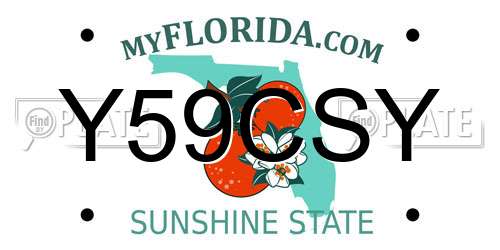 Y59CSY Florida License Plate