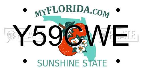 Y59CWE Florida License Plate