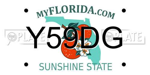 Y59DG Florida License Plate