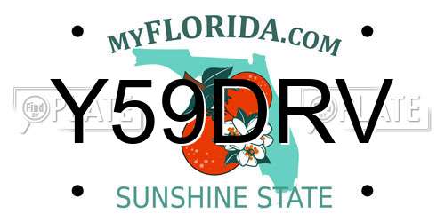 Y59DRV Florida License Plate