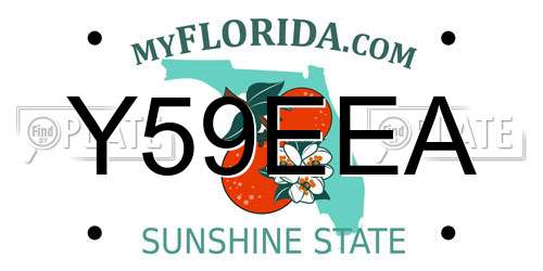 Y59EEA Florida License Plate
