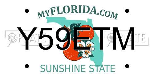 Y59ETM Florida License Plate