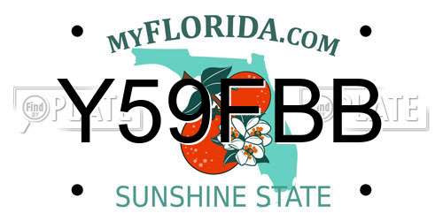 Y59FBB Florida License Plate