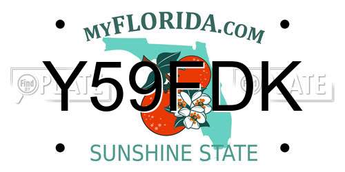 Y59FDK Florida License Plate