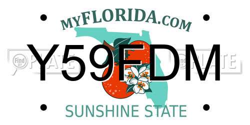 Y59FDM Florida License Plate