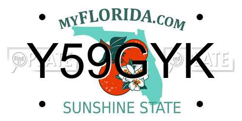 Y59GYK Florida License Plate