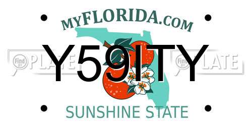 Y59ITY Florida License Plate