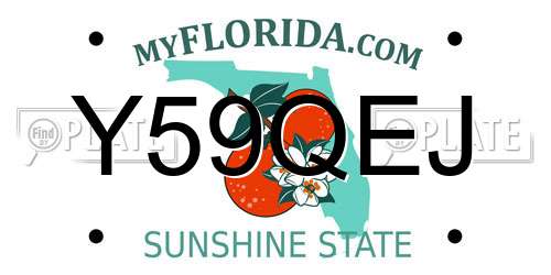 Y59QEJ Florida License Plate