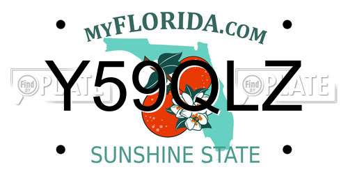 Y59QLZ Florida License Plate