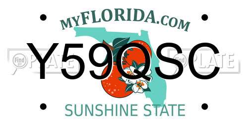 Y59QSC Florida License Plate