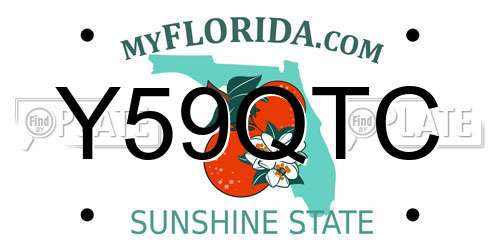 Y59QTC Florida License Plate