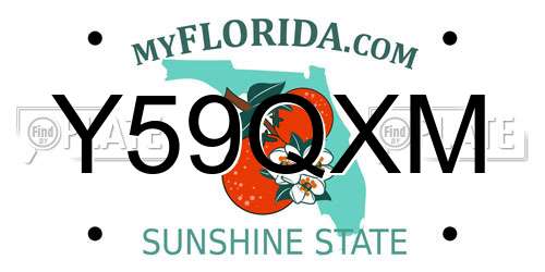 Y59QXM Florida License Plate