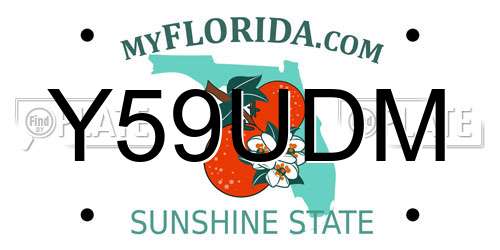 Y59UDM Florida License Plate