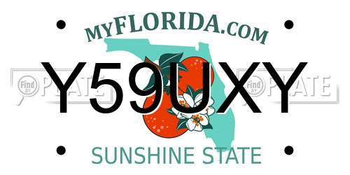 Y59UXY Florida License Plate