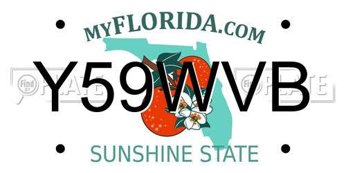 Y59WVB Florida License Plate