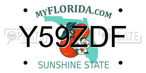 Y59ZDF Florida License Plate