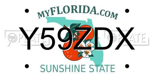 Y59ZDX Florida License Plate