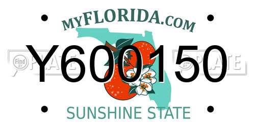 Y600150 Florida License Plate