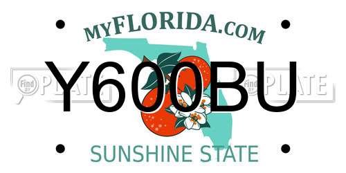 Y600BU Florida License Plate