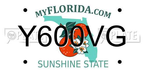 Y600VG Florida License Plate