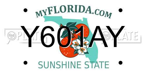 Y601AY Florida License Plate