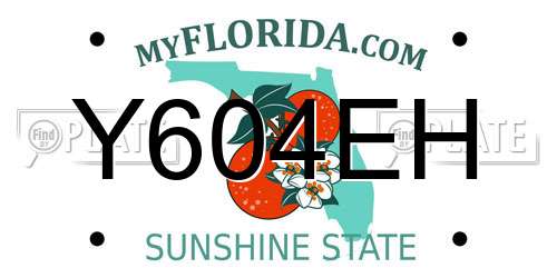 Y604EH Florida License Plate