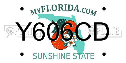 Y606CD Florida License Plate