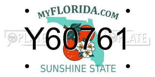 Y60761 Florida License Plate