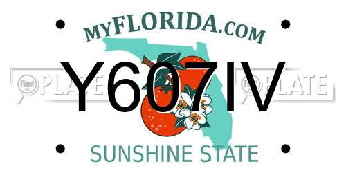 Y607IV Florida License Plate