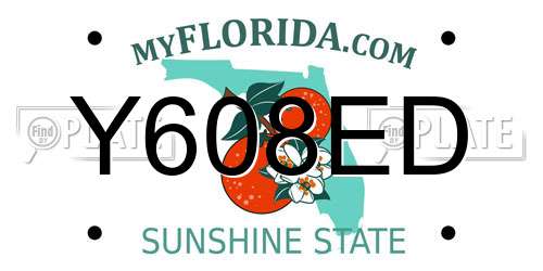 Y608ED Florida License Plate