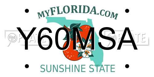 Y60MSA Florida License Plate