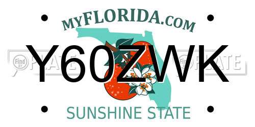 Y60ZWK Florida License Plate