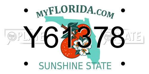 Y61378 Florida License Plate