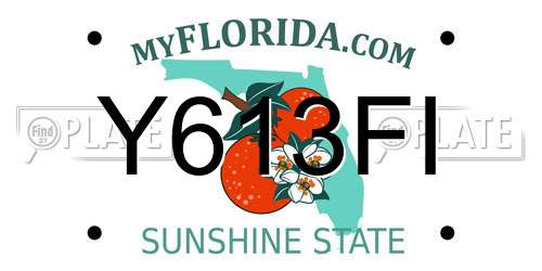 Y613FI Florida License Plate