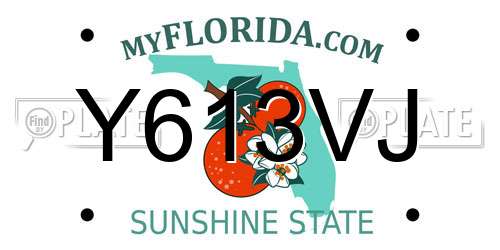 Y613VJ Florida License Plate