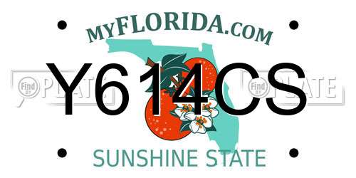 Y614CS Florida License Plate
