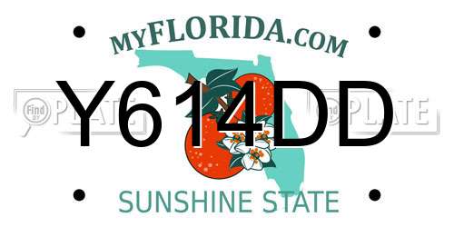 Y614DD Florida License Plate