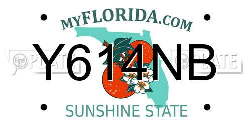 Y614NB Florida License Plate