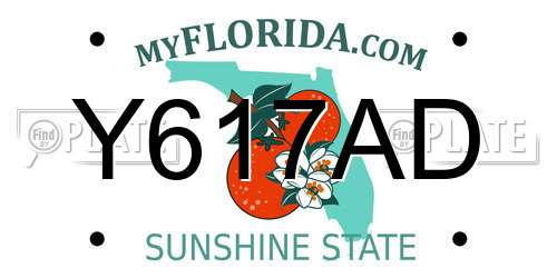 Y617AD Florida License Plate