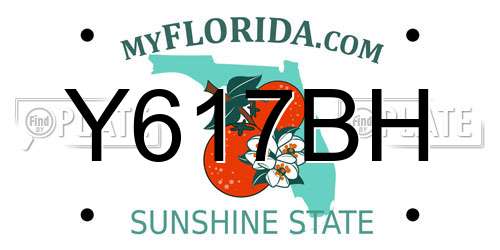 Y617BH Florida License Plate
