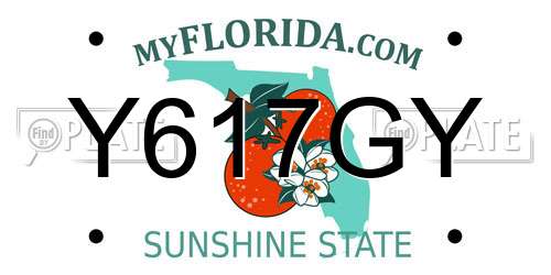 Y617GY Florida License Plate