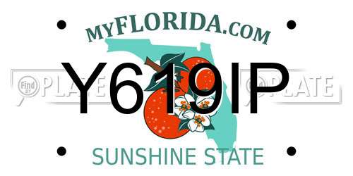 Y619IP Florida License Plate