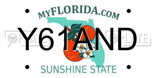 Y61AND Florida License Plate