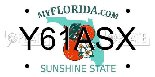 Y61ASX Florida License Plate