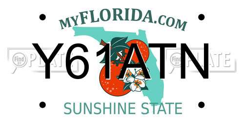 Y61ATN Florida License Plate