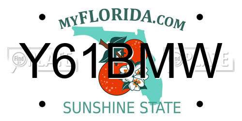 Y61BMW Florida License Plate