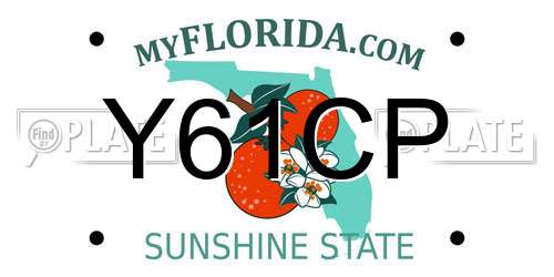 Y61CP Florida License Plate